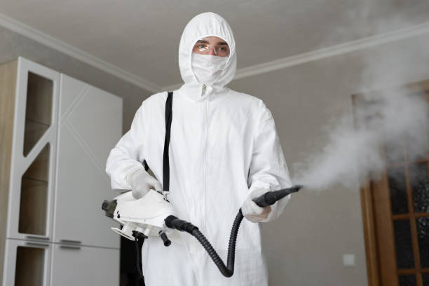 Why You Should Choose Our Mold Remediation Services in North Chicago, IL